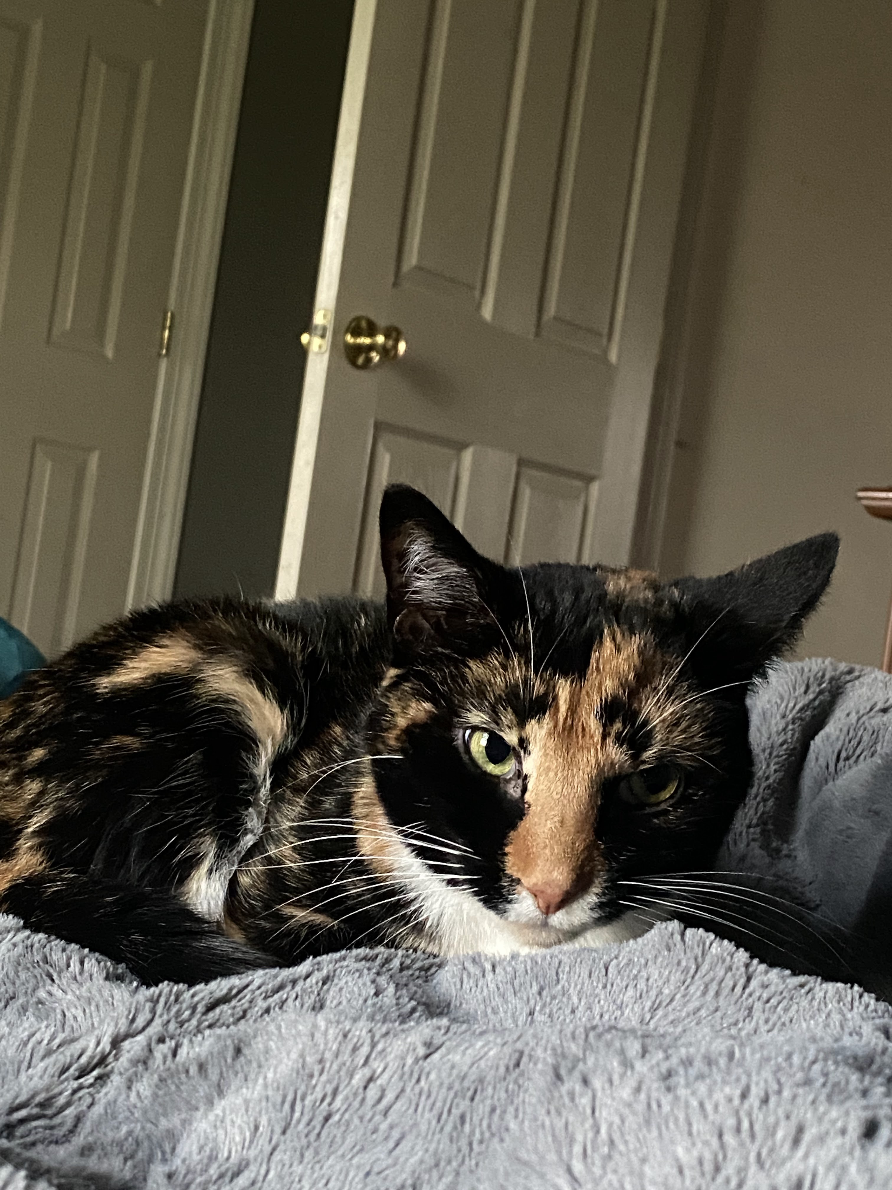 The pretty girl in question.